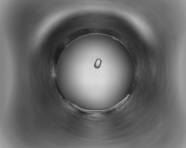X0000115590431200911171033