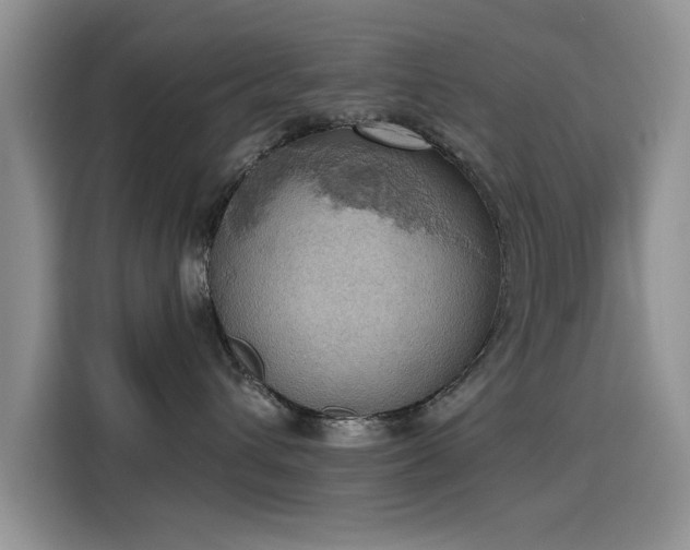 X0000115590432200911171033