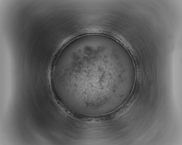 X0000115590434200911171033
