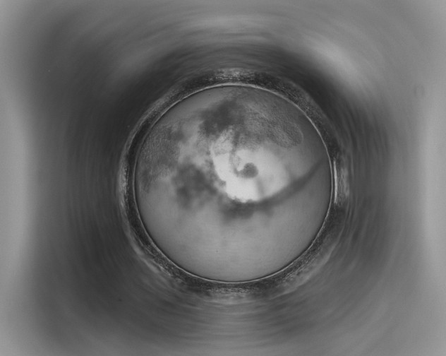 X0000115590435200911171033