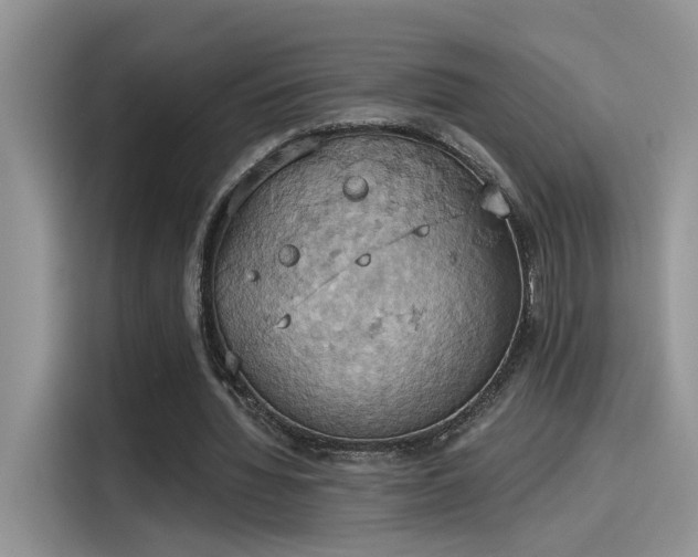 X0000115590436200911171033