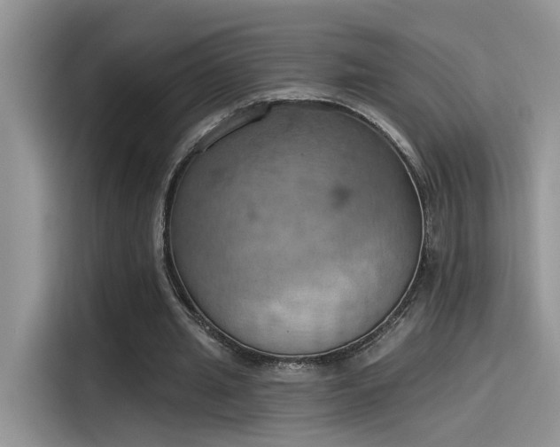 X0000115590437200911171033