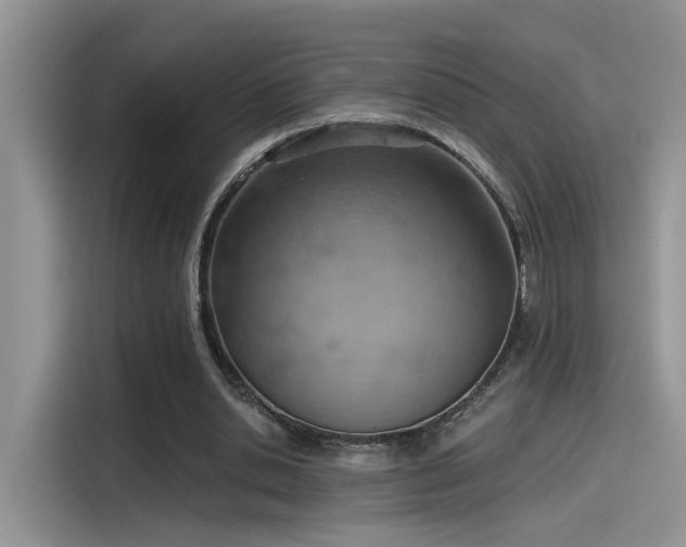 X0000115590438200911171033