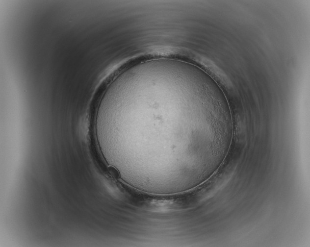 X0000115590440200911171033