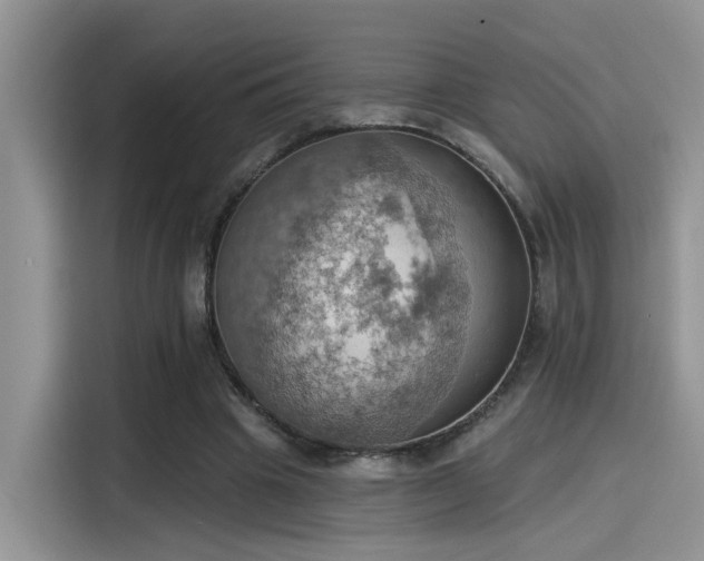 X0000115590441200911171033