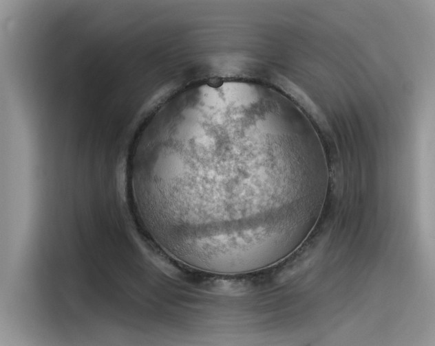 X0000115590442200911171033