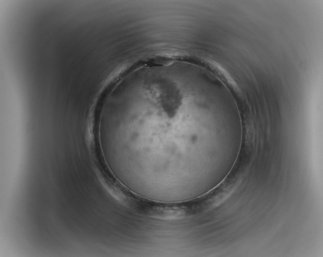 X0000115590443200911171033