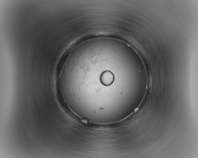 X0000115590444200911171033