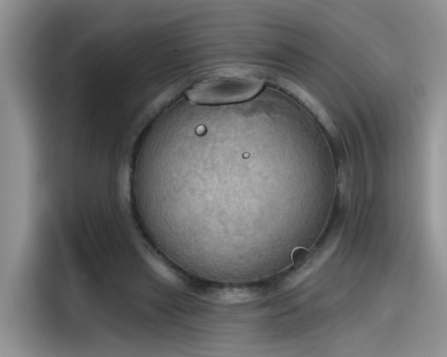 X0000115590445200911171033