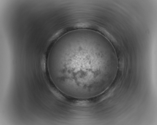 X0000115590446200911171033