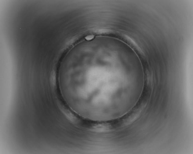X0000115590447200911171033