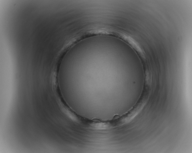 X0000115590449200911171033