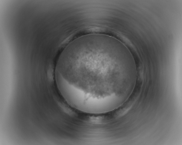 X0000115590450200911171033