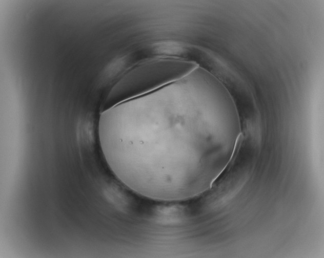 X0000115590452200911171033