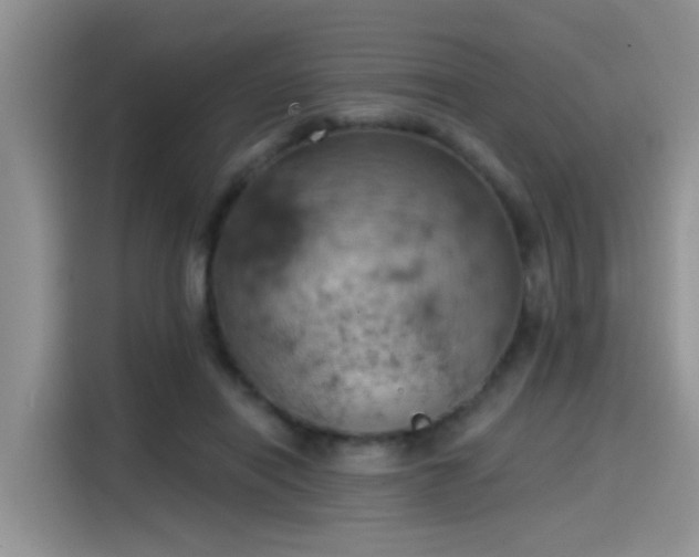 X0000115590454200911171033