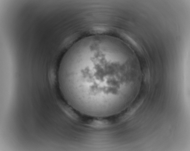 X0000115590455200911171033