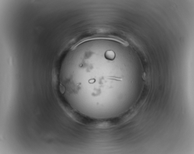 X0000115590456200911171033