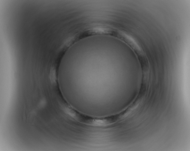 X0000115590457200911171033