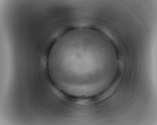 X0000115590458200911171033