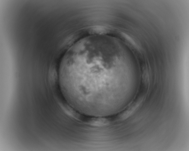 X0000115590459200911171033