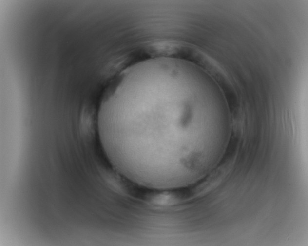 X0000115590460200911171033