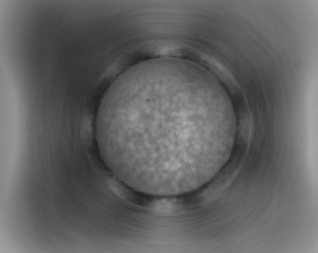 X0000115590461200911171033