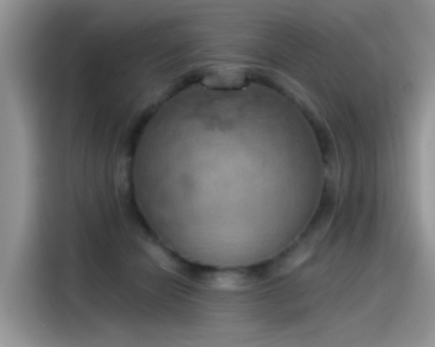 X0000115590462200911171033