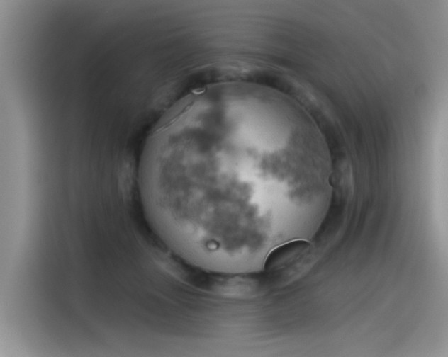 X0000115590463200911171033
