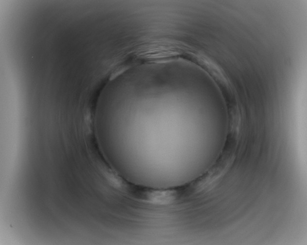 X0000115590465200911171033