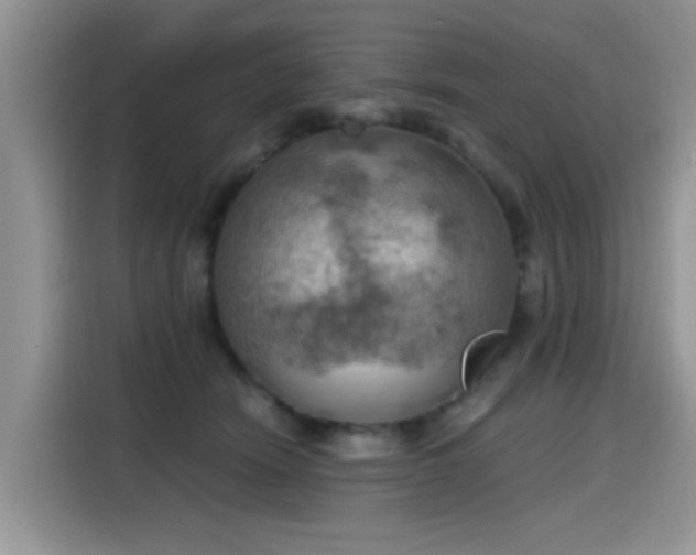 X0000115590466200911171033
