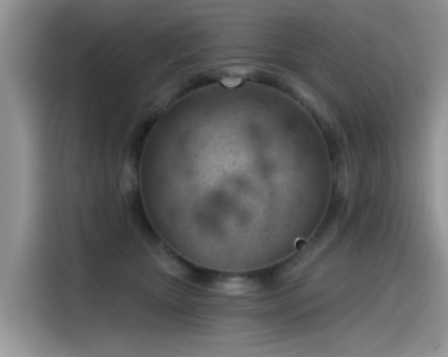 X0000115590467200911171033