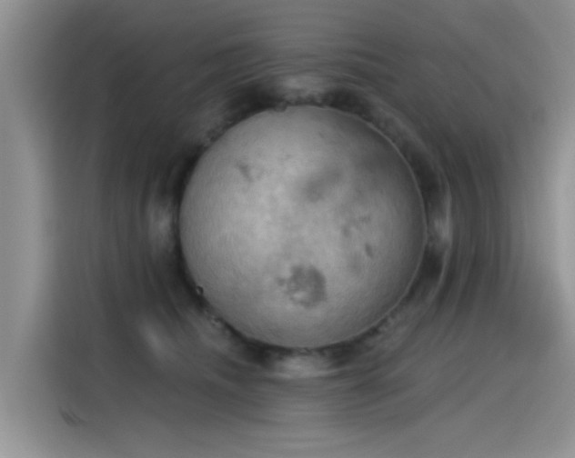 X0000115590468200911171033