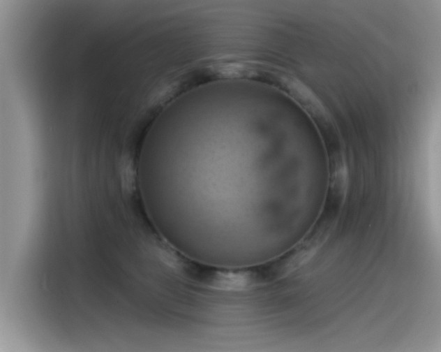 X0000115590469200911171033