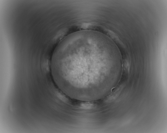 X0000115590470200911171033