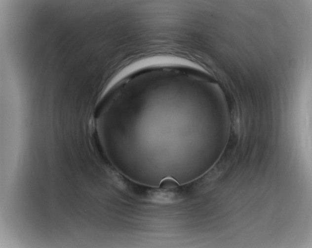 X0000115590471200911171033
