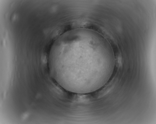 X0000115590472200911171033