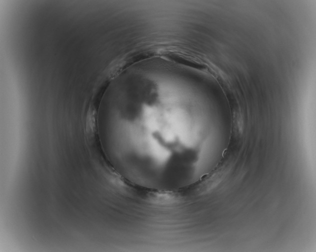 X0000115590475200911171033