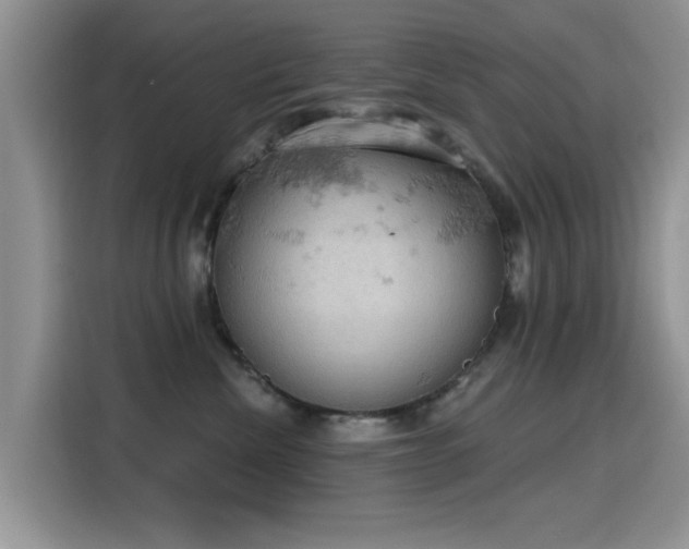 X0000115590476200911171033