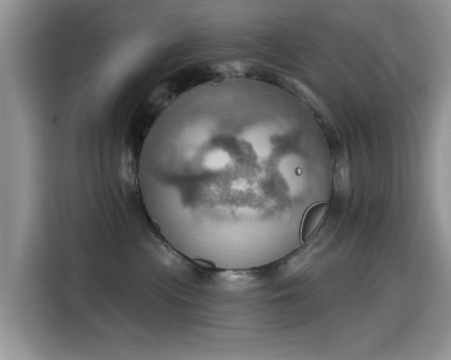 X0000115590477200911171033