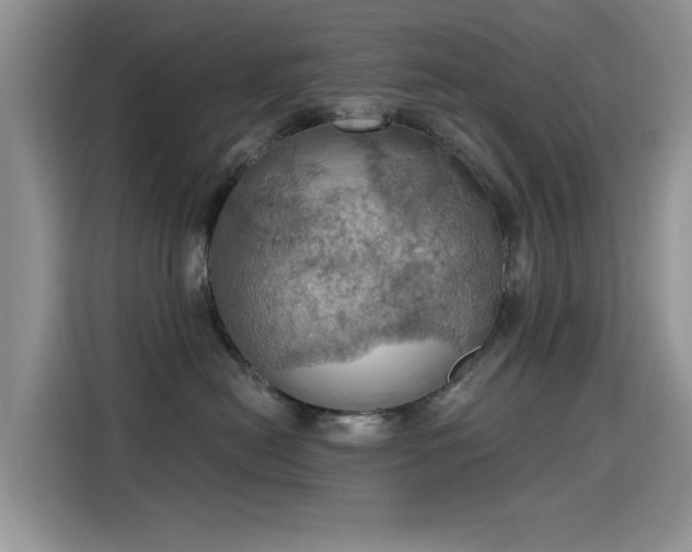 X0000115590478200911171033