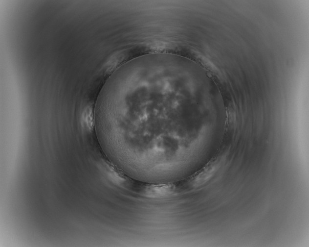 X0000115590479200911171033
