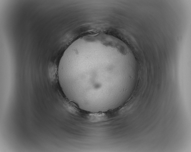X0000115590480200911171033