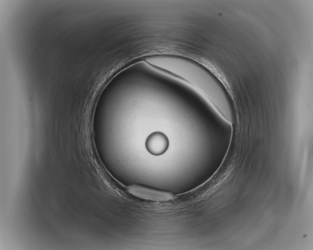 X0000115590481200911171033