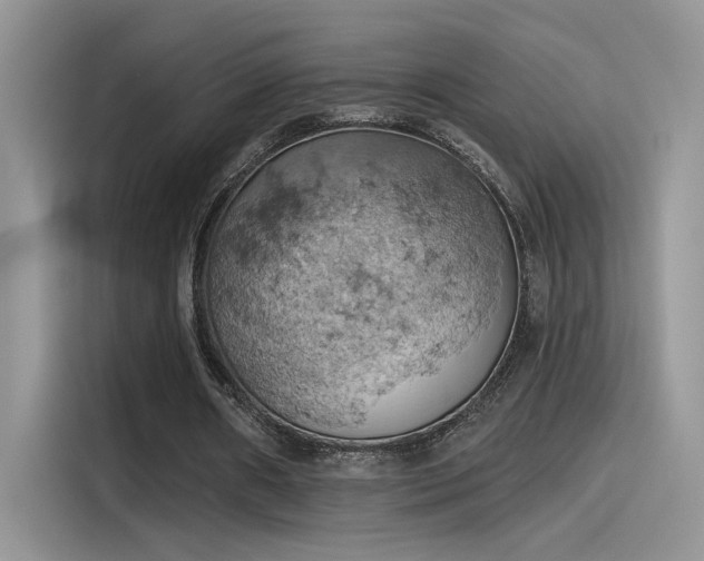 X0000115590482200911171033