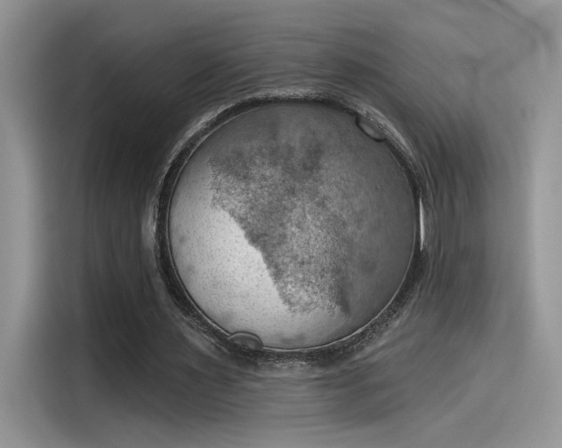 X0000115590483200911171033