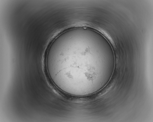 X0000115590485200911171033