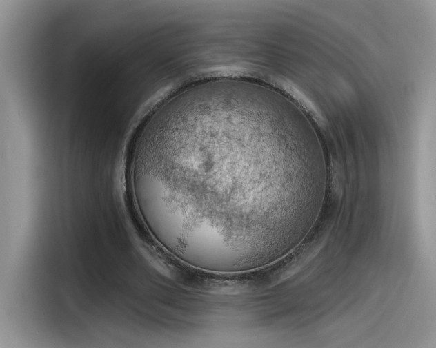 X0000115590486200911171033