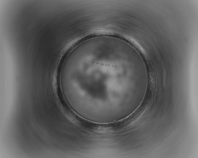 X0000115590487200911171033