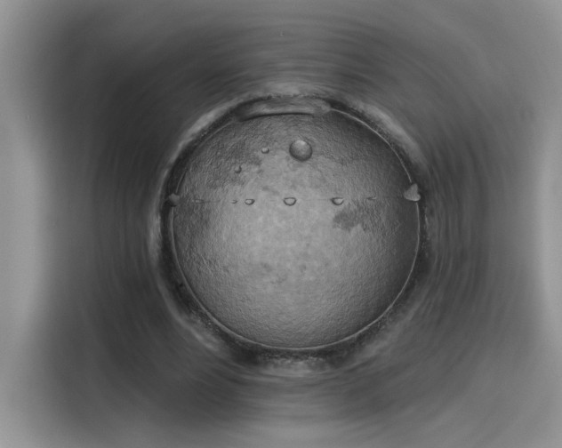 X0000115590488200911171033