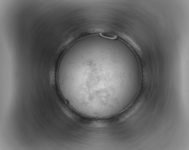 X0000115590489200911171033